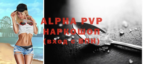 apvp Бородино