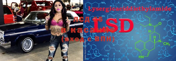 прущие грибы Верхнеуральск