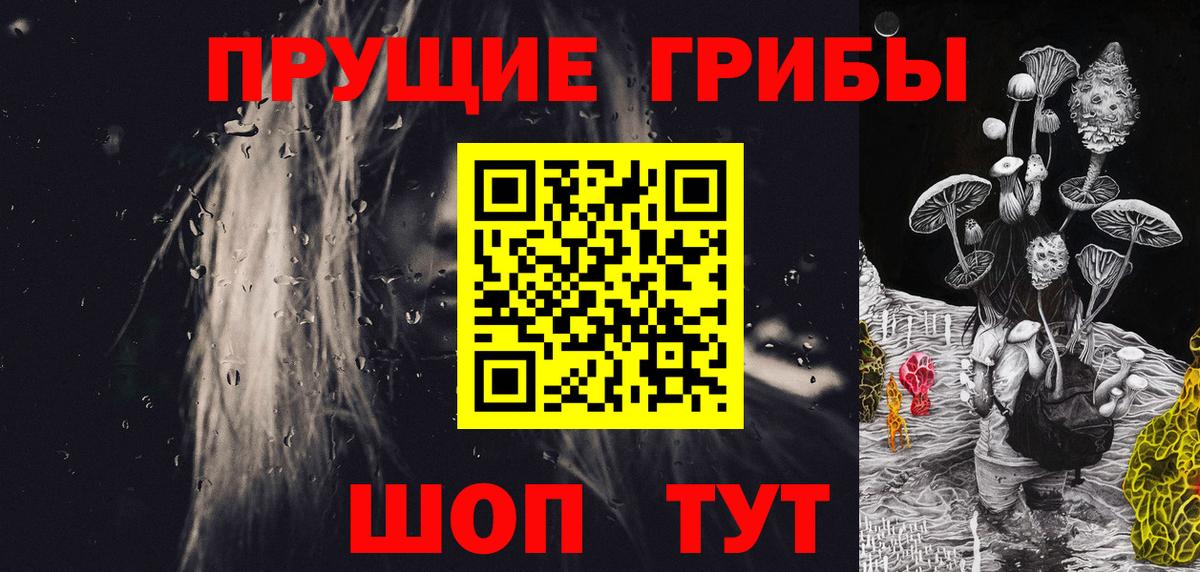 Псилоцибиновые грибы GOLDEN TEACHER  Вичуга 